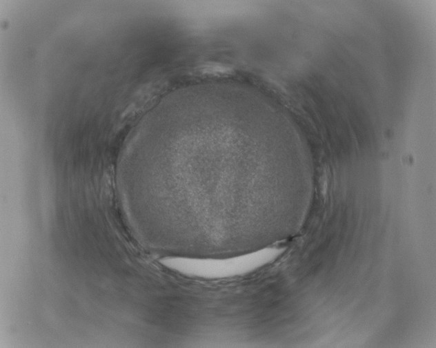 X0000070371397200606301845