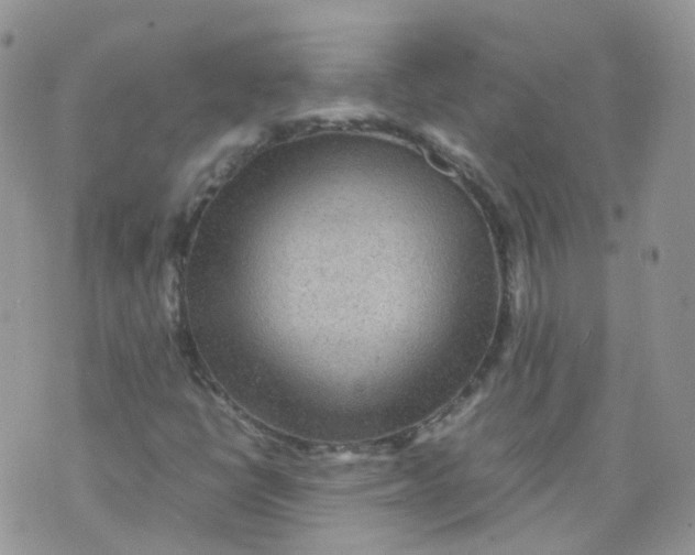 X0000070371398200606301845