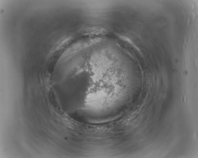 X0000070371399200606301845