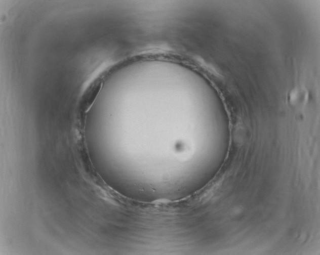 X0000070371400200606301845