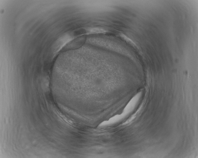 X0000070371401200606301845