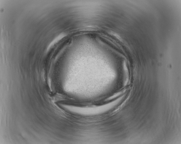 X0000070371402200606301845