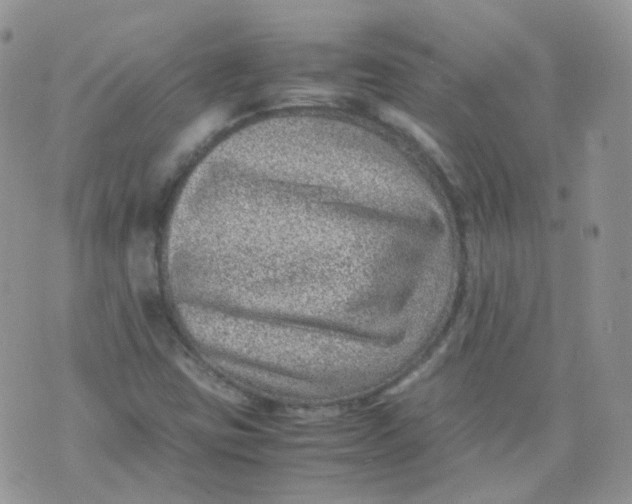 X0000070371403200606301845