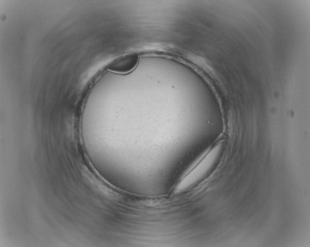 X0000070371404200606301845