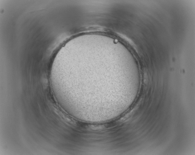 X0000070371407200606301845