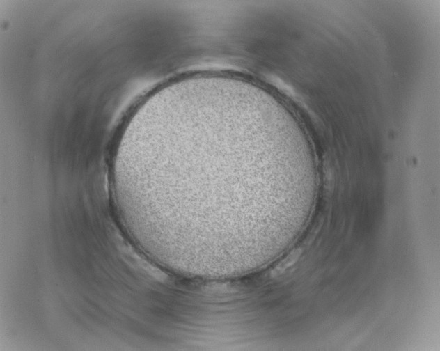 X0000070371408200606301845