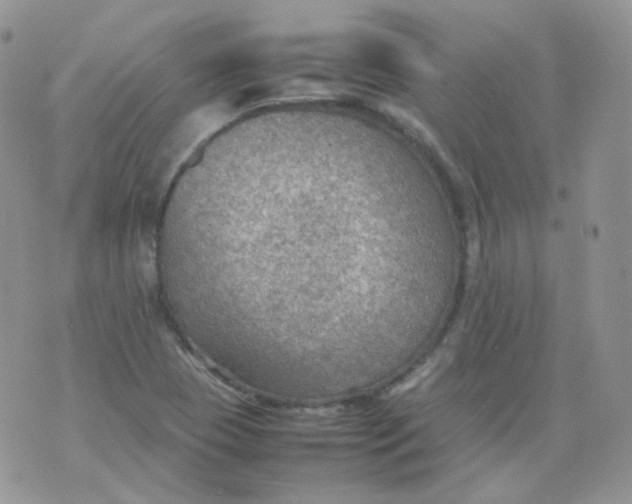 X0000070371409200606301845