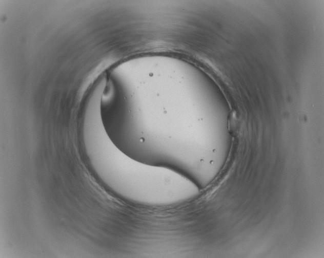 X0000070371410200606301845