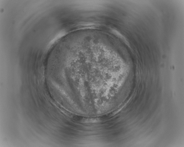 X0000070371411200606301845