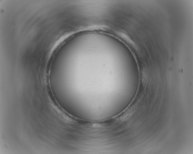 X0000070371412200606301845