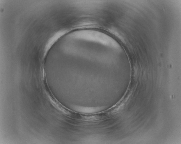 X0000070371413200606301845