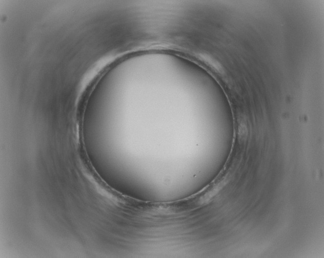 X0000070371414200606301845