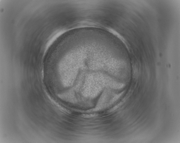 X0000070371415200606301845