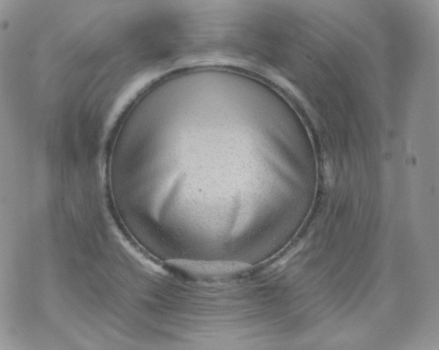 X0000070371416200606301845