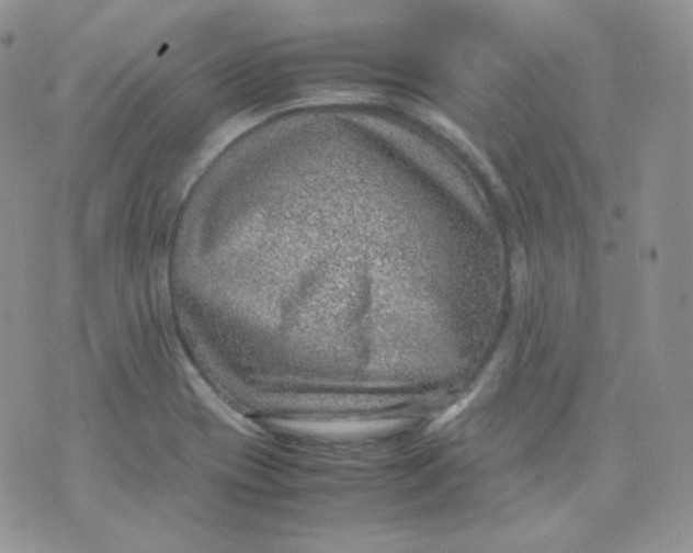 X0000070371417200606301845