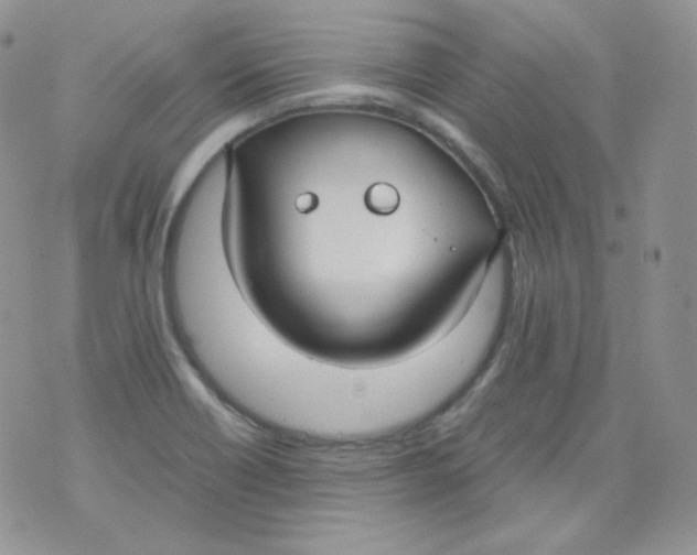 X0000070371418200606301845