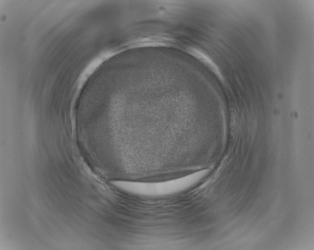 X0000070371419200606301845