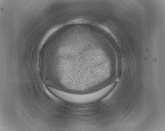 X0000070371421200606301845