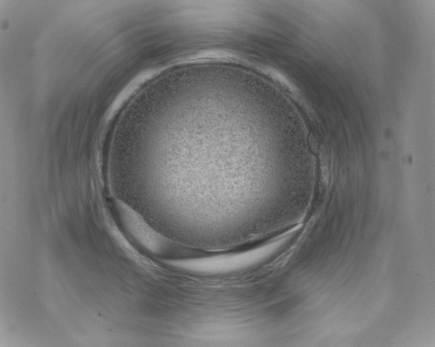 X0000070371422200606301845