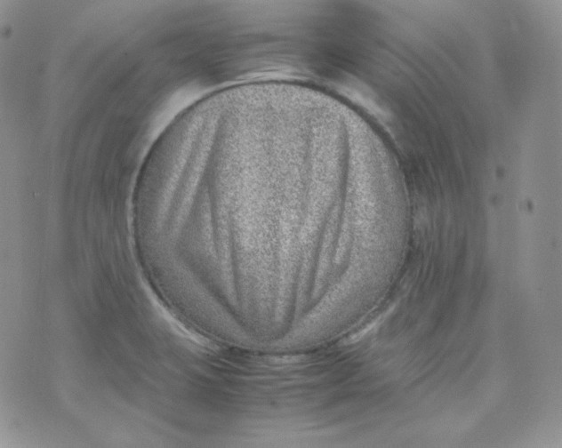 X0000070371423200606301845