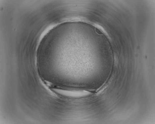 X0000070371424200606301845