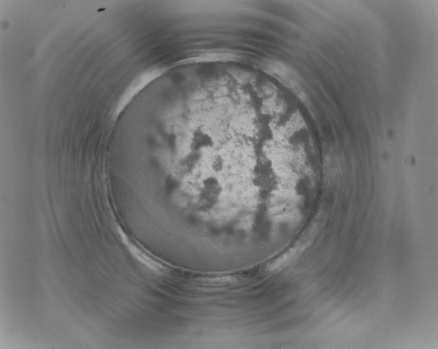 X0000070371425200606301845