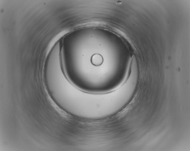 X0000070371426200606301845