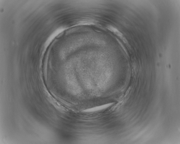 X0000070371427200606301845