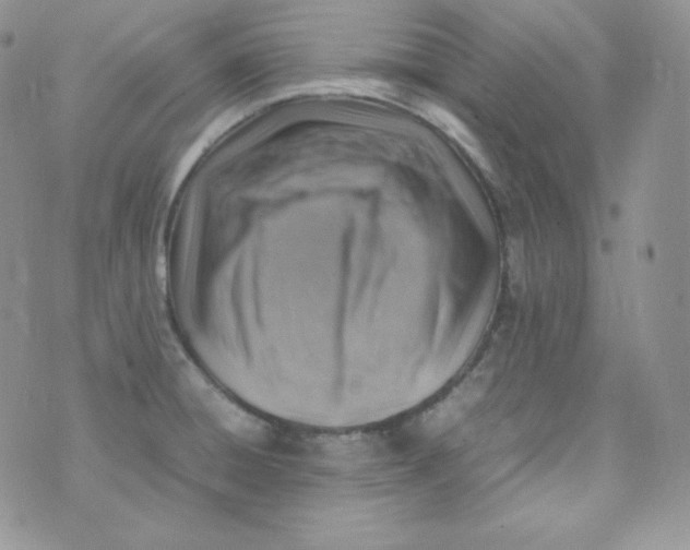 X0000070371428200606301845