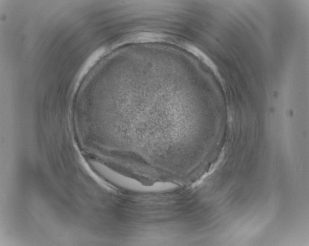 X0000070371429200606301845