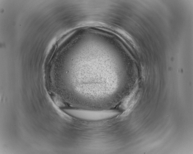 X0000070371430200606301845