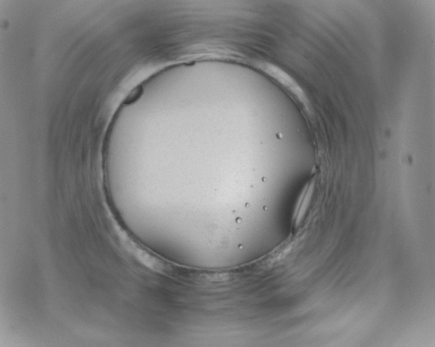 X0000070371431200606301845