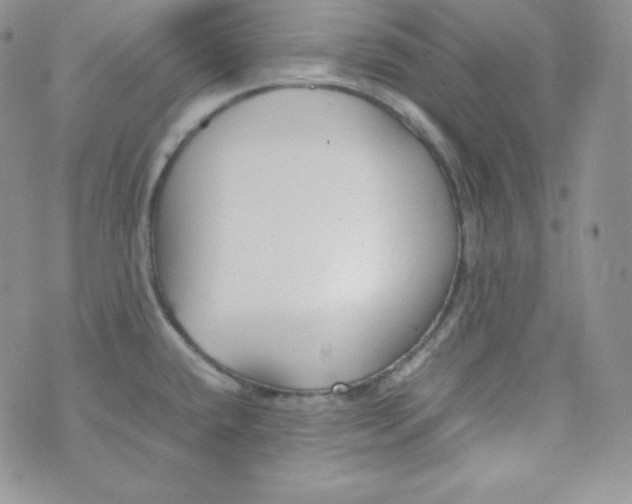 X0000070371432200606301845