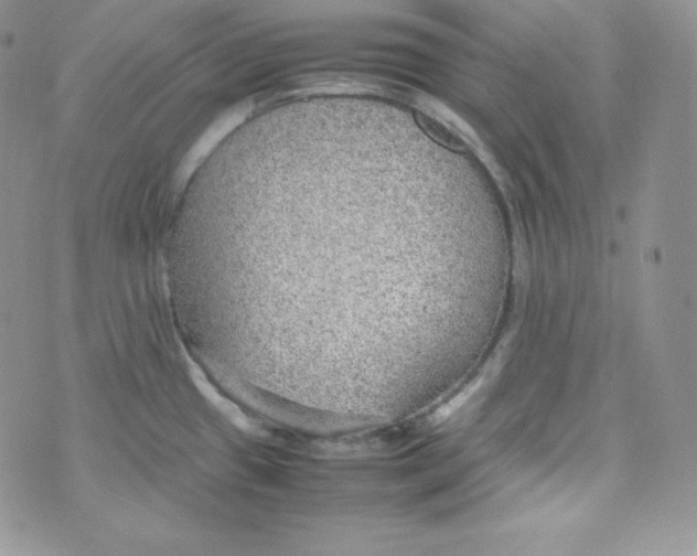 X0000070371433200606301845