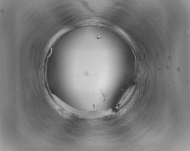 X0000070371434200606301845