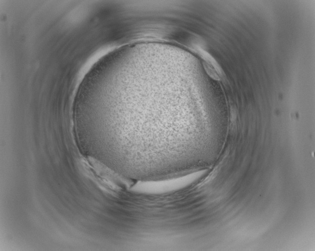 X0000070371435200606301845