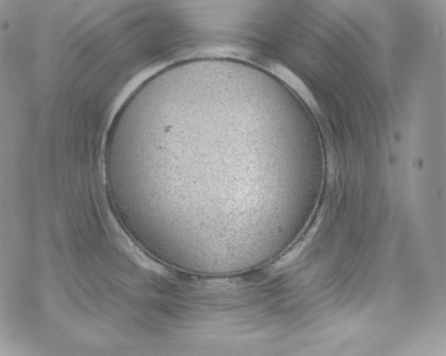 X0000070371436200606301845