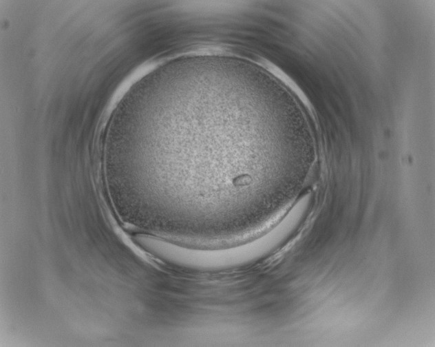 X0000070371437200606301845