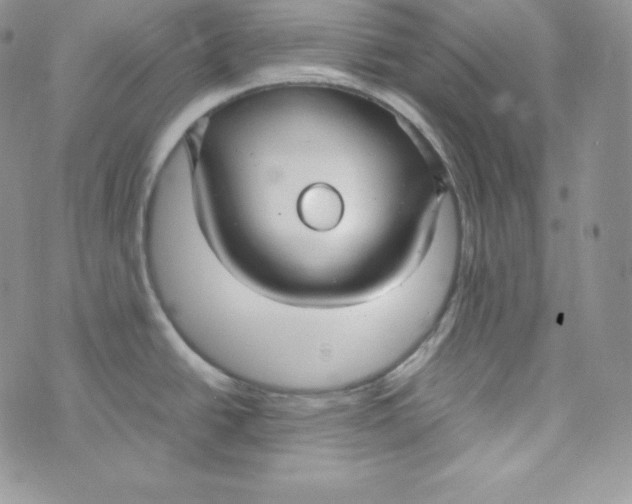 X0000070371438200606301845