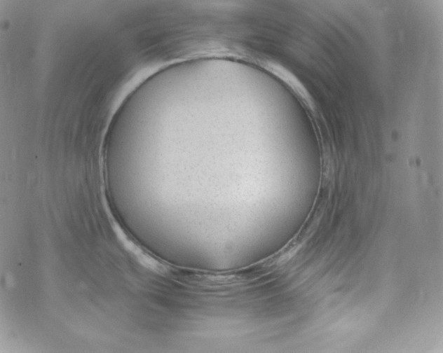 X0000070371439200606301845