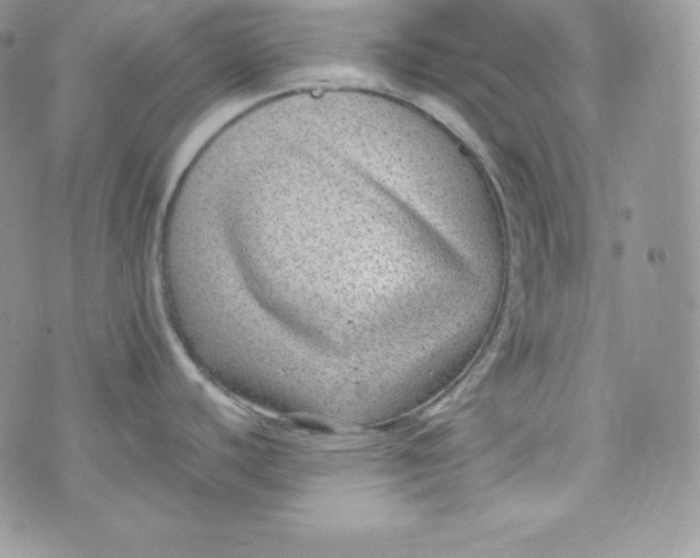 X0000070371440200606301845