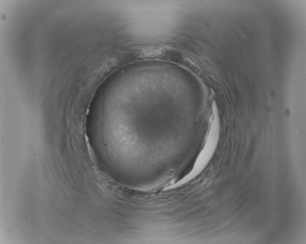 X0000070371441200606301844