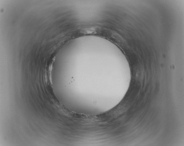 X0000070371442200606301844