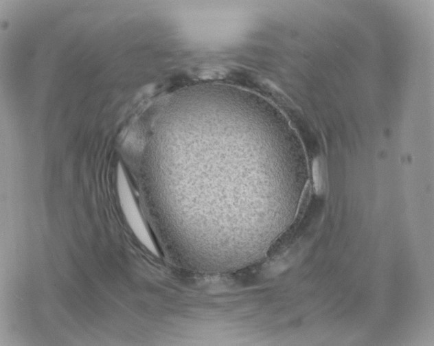 X0000070371443200606301844