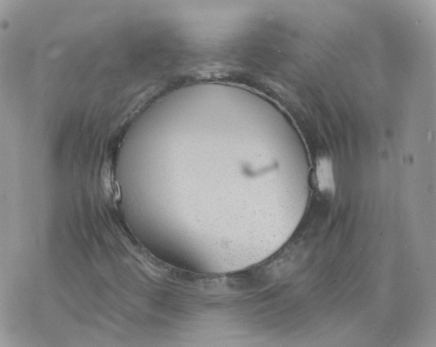 X0000070371444200606301844