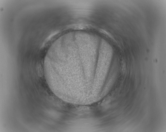 X0000070371446200606301844