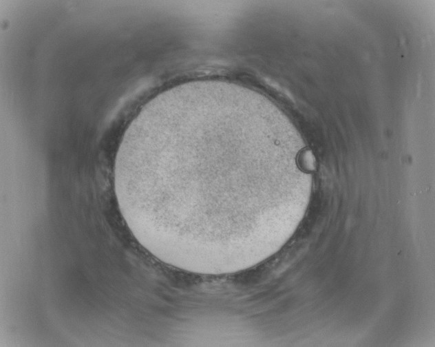 X0000070371447200606301844