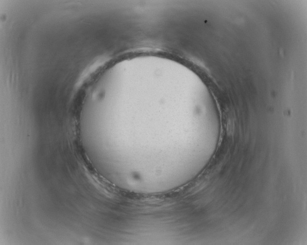 X0000070371448200606301844