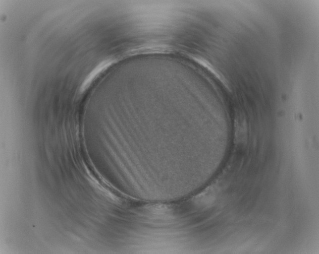 X0000070371450200606301844