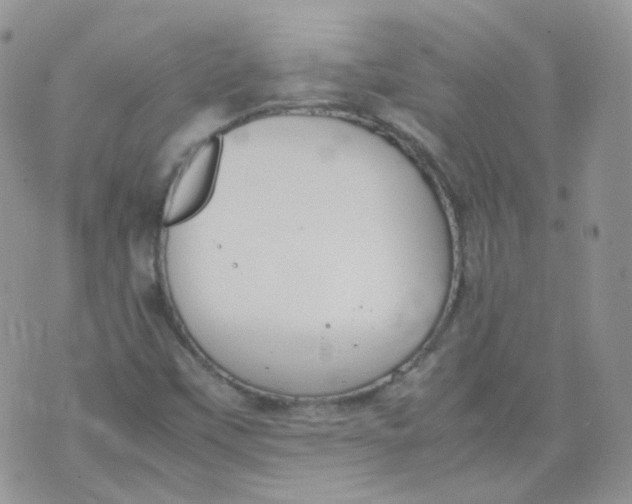 X0000070371451200606301844